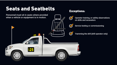 seats and seatbelts custom elearning solution